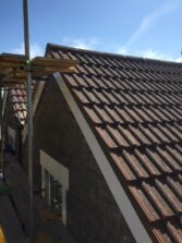 Roof cleaning